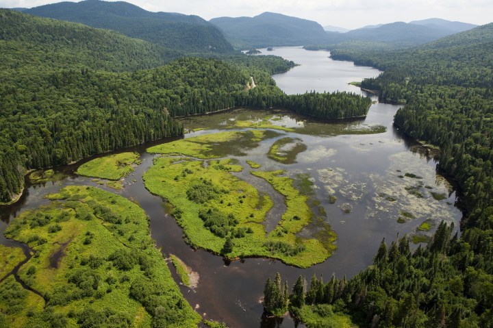 le mont tremblant.jpg